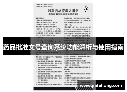 药品批准文号查询系统功能解析与使用指南