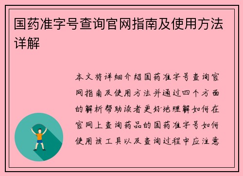 国药准字号查询官网指南及使用方法详解
